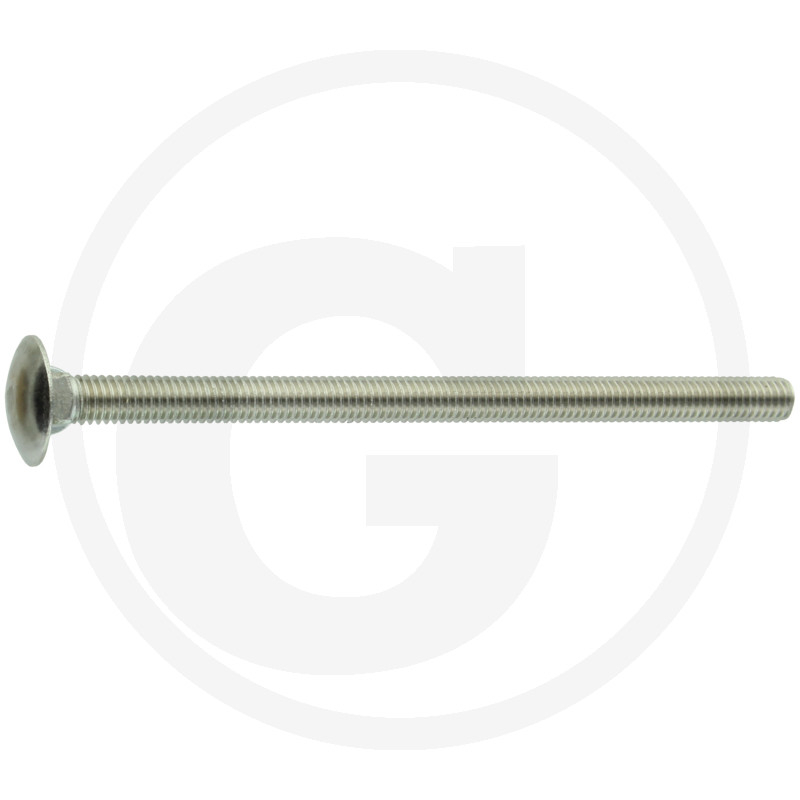 Schlossschraube,DIN603,V2A,M06x100,VE:1